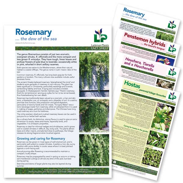 Press releases for a wholesale nursery